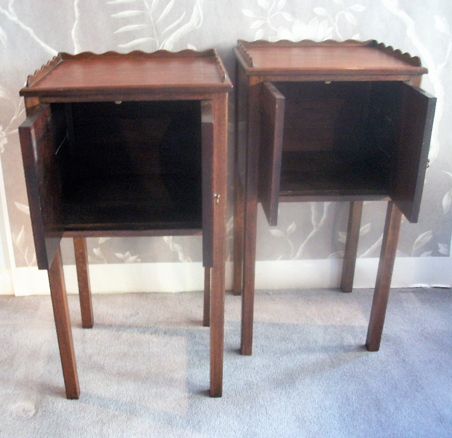 Pair of Georgian Style Bedside Cupboards